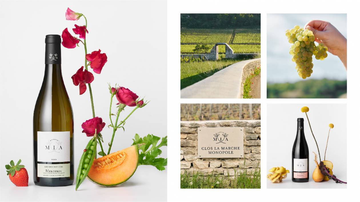 Création identité de marque globale